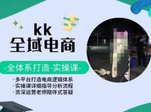 KK全域电商,全体系打造实操课,多平台打造电商逻辑体系-网络创业副业兼职学习网