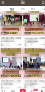 幼儿园公开课项目,虚拟资源变现,一单19.9,单日变现300-网络创业副业兼职学习网