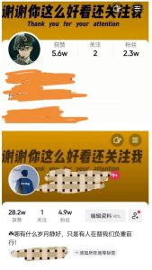 外面收费1980快速涨粉技术(女粉),抖音快手小红书,只要你有执行力,涨粉轻而易举,粉丝=变现-网络创业副业兼职学习网