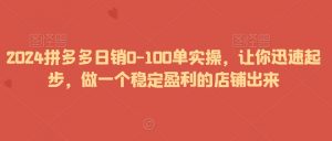 2024拼多多日销0-100单实操,让你迅速起步,做一个稳定盈利的店铺出来-网络创业副业兼职学习网