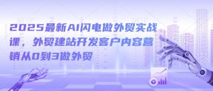 2025最新AI闪电做外贸实战课,外贸建站开发客户内容营销从0到3做外贸-网络创业副业兼职学习网