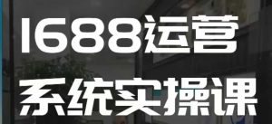 1688高阶运营系统实操课,快速掌握1688店铺运营的核心玩法-网络创业副业兼职学习网