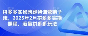 拼多多实操陪跑特训营弟子班，2025年2月拼多多实操课程，海量拼多多玩法-网络创业副业兼职学习网