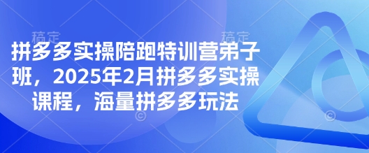 拼多多实操陪跑特训营弟子班，2025年2月拼多多实操课程，海量拼多多玩法-网络创业副业兼职学习网