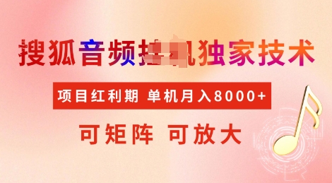 全网首发搜狐音频挂JI独家技术，项目红利期，可矩阵可放大，稳定月入8k【揭秘】-网络创业副业兼职学习网