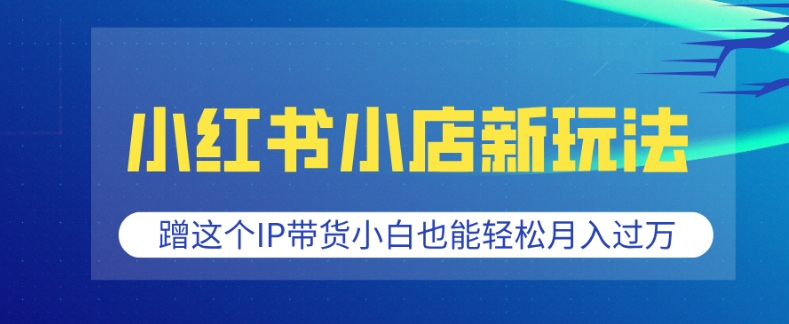 小红书小店新玩法，蹭这个IP带货，小白也能轻松月入过W【揭秘】-网络创业副业兼职学习网