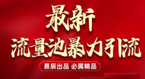 最新“流量池”无门槛暴力引流(全网首发)日引500+-网络创业副业兼职学习网