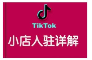 TikTok跨境小店运营全攻略,帮助你独立运营TK跨境小店的能力,实现销量增长-网络创业副业兼职学习网