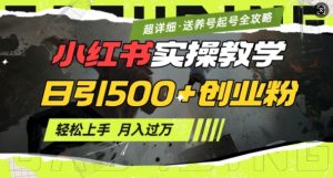 2月小红书最新日引500+创业粉实操教学【超详细】小白轻松上手,月入1W+,附小红书养号起号SOP-网络创业副业兼职学习网