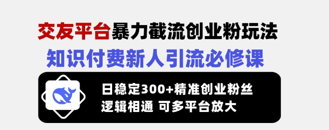 交友平台暴力截流创业粉玩法，知识付费新人引流必修课，日稳定300+精准创业粉丝，逻辑相通可多平台放大-网络创业副业兼职学习网