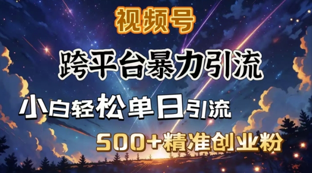 跨平台暴力引流，私域完美闭环，日引500+精准创业粉-网络创业副业兼职学习网