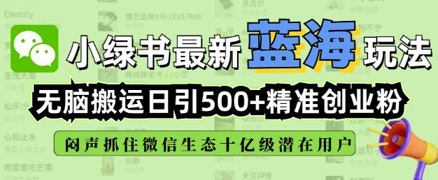 小绿书无脑搬运引流，全自动日引500精准创业粉，微信生态内又一个闷声发财的机会-网络创业副业兼职学习网