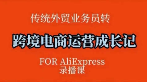 跨境电商速卖通运营课，​运营方法论+后台实操，逻辑清晰-网络创业副业兼职学习网
