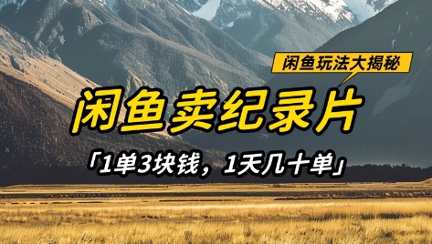 闲鱼卖纪录片1单3块钱，1天几十单，项目稳定有潜力-网络创业副业兼职学习网