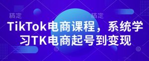 TikTok电商课程,系统学习TK电商起号到变现-网络创业副业兼职学习网