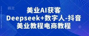 美业AI获客Deepseek+数字人-抖音美业教程电商教程-网络创业副业兼职学习网