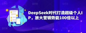 DeepSeek时代打造超级个人IP,放大营销势能100倍以上-网络创业副业兼职学习网