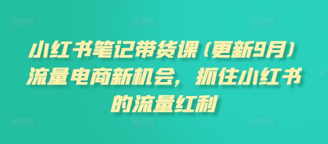 小红书笔记带货课(更新25年1月)流量电商新机会，抓住小红书的流量红利-网络创业副业兼职学习网