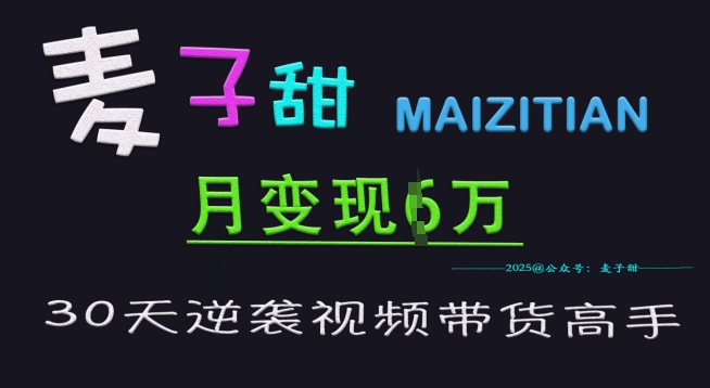 麦子甜30天逆袭视频带货高手，单月变现6W加特训营-网络创业副业兼职学习网