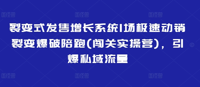 裂变式发售增长系统1场极速动销裂变爆破陪跑(闯关实操营)，引爆私域流量-网络创业副业兼职学习网