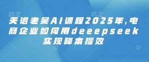 天诺老吴AI课程2025年,电商企业如何用deeepseek实现降本提效-网络创业副业兼职学习网