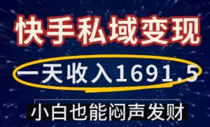 一天收入1691.5,快手私域变现,小白也能闷声发财-网络创业副业兼职学习网