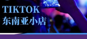 Tiktok东南亚跨境小店运营班,一门专业的TK小店运营培训课-网络创业副业兼职学习网