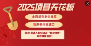 2025项目天花板普通人如何通过知识付费,实现财F自由【揭秘】-网络创业副业兼职学习网