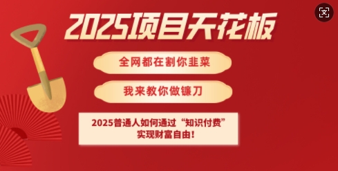 2025项目天花板普通人如何通过知识付费，实现财F自由【揭秘】-网络创业副业兼职学习网