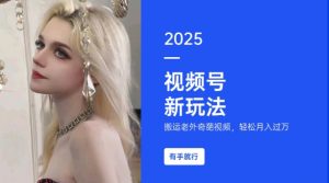 搬运老外奇葩视频,撸视频号分成计划收益,每天只需一小时,新手小白轻松月入过W-网络创业副业兼职学习网