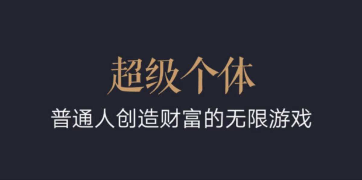 超级个体：2024-2025翻盘指南，普通人创造财富的无限游戏-网络创业副业兼职学习网