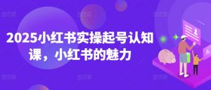 2025小红书实操起号认知课,小红书的魅力-网络创业副业兼职学习网