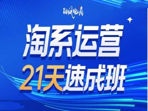 淘系运营21天速成班35期,年前最后一波和2025方向-网络创业副业兼职学习网
