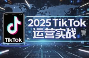 2025TikTok电商运营，掌握TikTok店铺运营核心技巧，实现低成本高转化-网络创业副业兼职学习网
