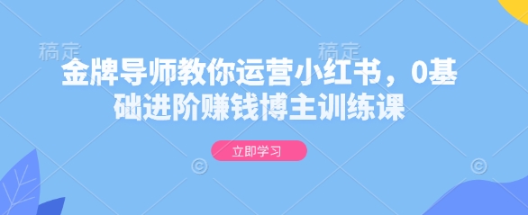 金牌导师教你运营小红书，0基础进阶赚钱博主训练课-网络创业副业兼职学习网