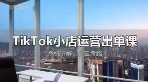 TikTok小店运营出单课，从开店选品、运营出单、发货回款，进行全流程讲解-网络创业副业兼职学习网
