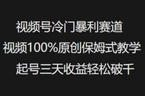 视频号冷门暴利赛道视频100%原创保姆式教学起号三天收益轻松破千-网络创业副业兼职学习网