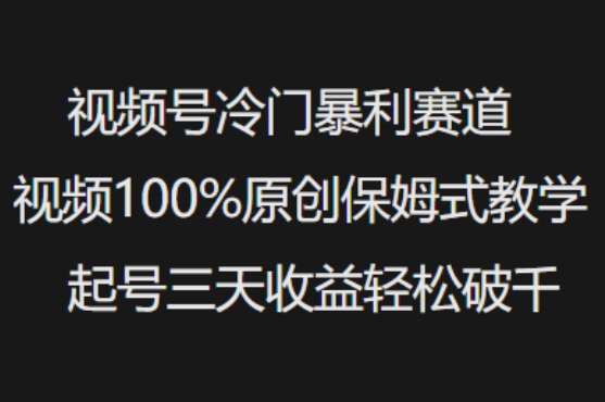 视频号冷门暴利赛道视频100%原创保姆式教学起号三天收益轻松破千-网络创业副业兼职学习网