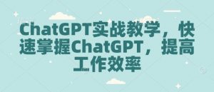 ChatGPT实战教学,快速掌握ChatGPT,提高工作效率-网络创业副业兼职学习网