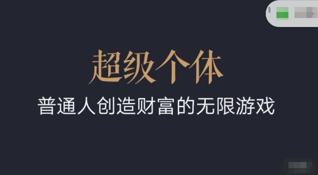 超级个体2024-2025翻盘指南，普通人创造财富的无限游戏-网络创业副业兼职学习网
