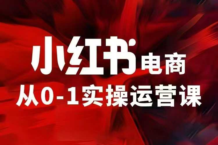 小红书电商运营，97节小红书vip内部课，带你实现小红书赚钱-网络创业副业兼职学习网