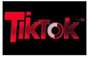 TikTok ads投流秘籍,涵盖tiktok整体投放思路,教你搭建测试计划-网络创业副业兼职学习网