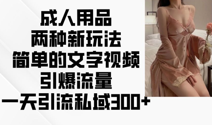 成人用品两种新玩法，简单的文字视频引爆流量，一天引流私域300+-网络创业副业兼职学习网