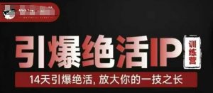 引爆绝活IP训练营，14天引爆绝活，放大你的一技之长-网络创业副业兼职学习网