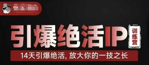 引爆绝活IP训练营，14天引爆绝活，放大你的一技之长-网络创业副业兼职学习网