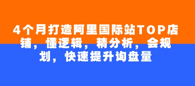 4个月打造阿里国际站TOP店铺，懂逻辑，精分析，会规划，快速提升询盘量-网络创业副业兼职学习网