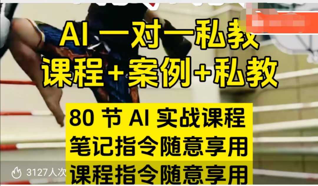 AI指令实战课，课程+案例，80节AI实战课程，笔记指令随意享用，课程指令随意享用-网络创业副业兼职学习网