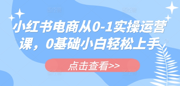 小红书电商从0-1实操运营课，0基础小白轻松上手-网络创业副业兼职学习网