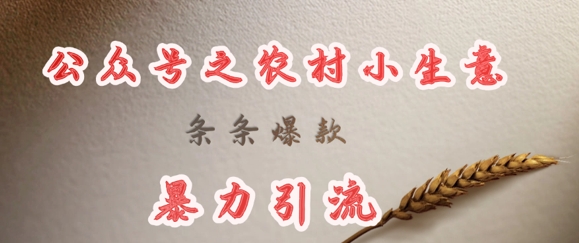 deepseek写农村小项目，条条爆款，暴力引流-网络创业副业兼职学习网