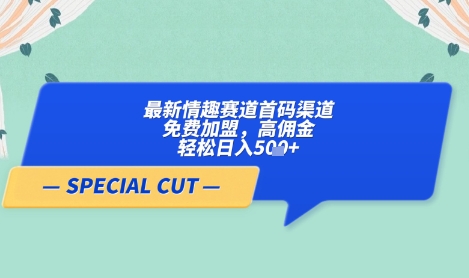 【轻云】最新情趣赛道首码渠道，免费加盟，高佣金，轻松日入5张+-网络创业副业兼职学习网